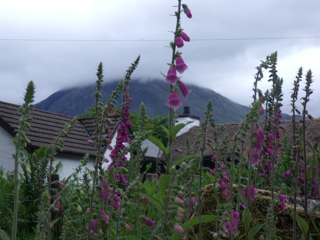 Beechwood Cottage B&B Glencoe Exterior foto